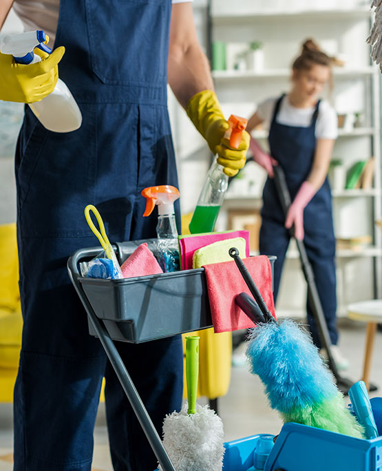 Regular Maintenance House Cleaning Services | Samter Cleaning Services